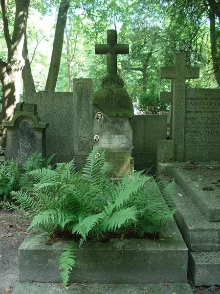 Zdjęcie grobu: Jadwiga Maria Leśniewska