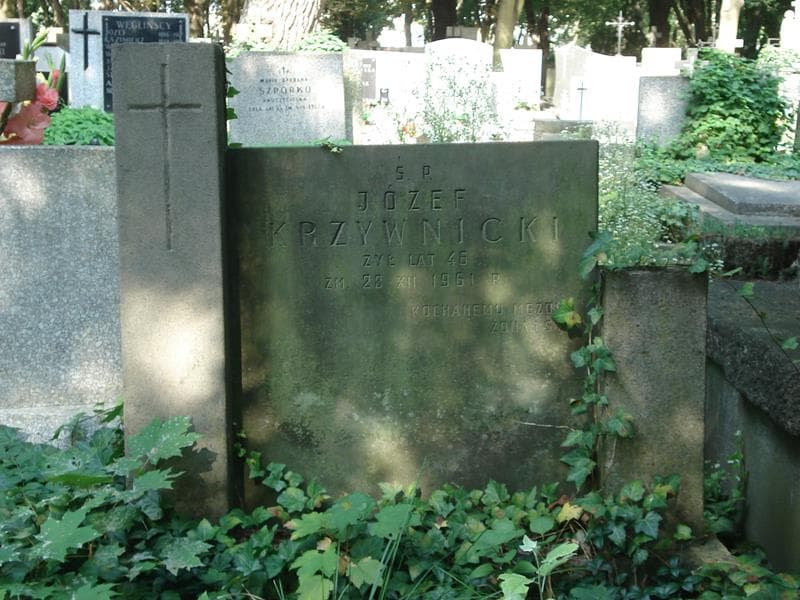 Zdjęcie grobu Józef Krzywnicki (1)