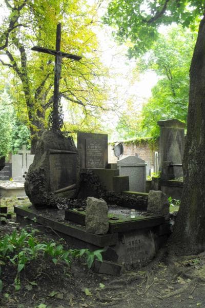 Zdjęcie grobu Teodor Górski (1)