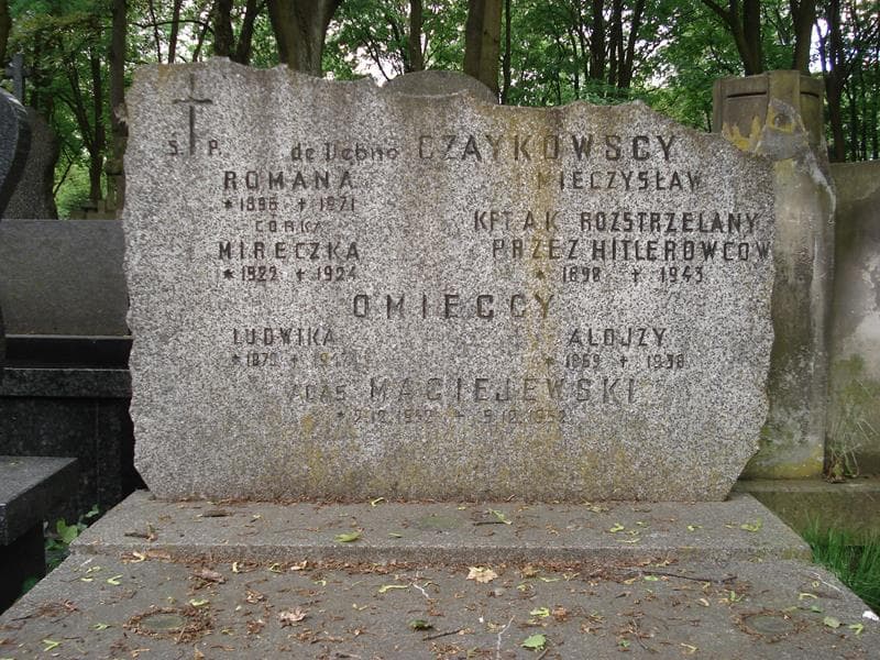 Zdjęcie grobu Alojzy Omiecki (2)