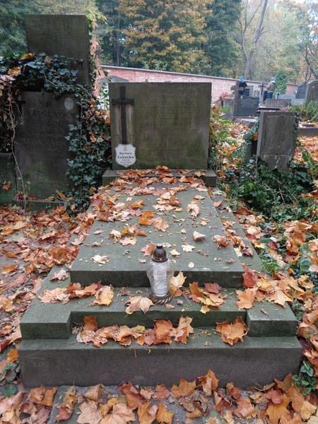 Zdjęcie grobu Stanisława Brydowska (1)