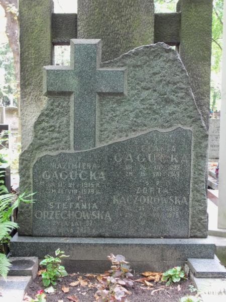 Zdjęcie grobu Stefania Orzechowska (2)