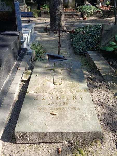 Zdjęcie grobu Stanisław Karol Słoński (2)