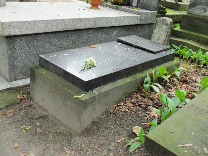 Zdjęcie grobu Marya Czyńska (1)