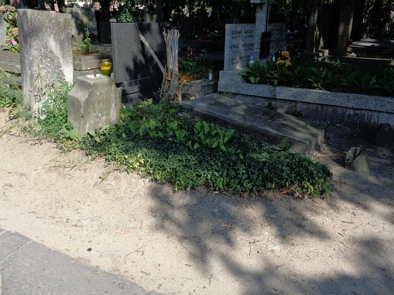 Zdjęcie grobu: Klementyna Joung
