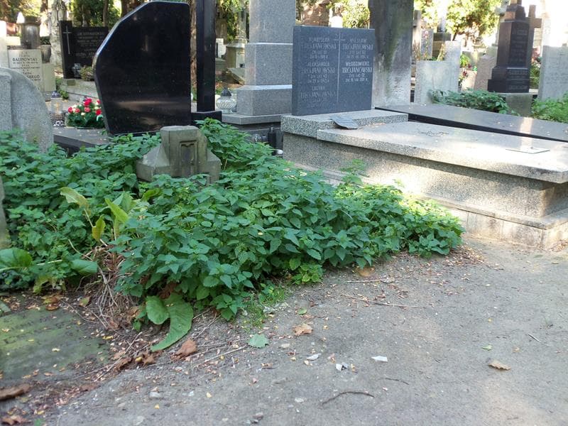 Zdjęcie grobu Karol Rudziejewski (1)