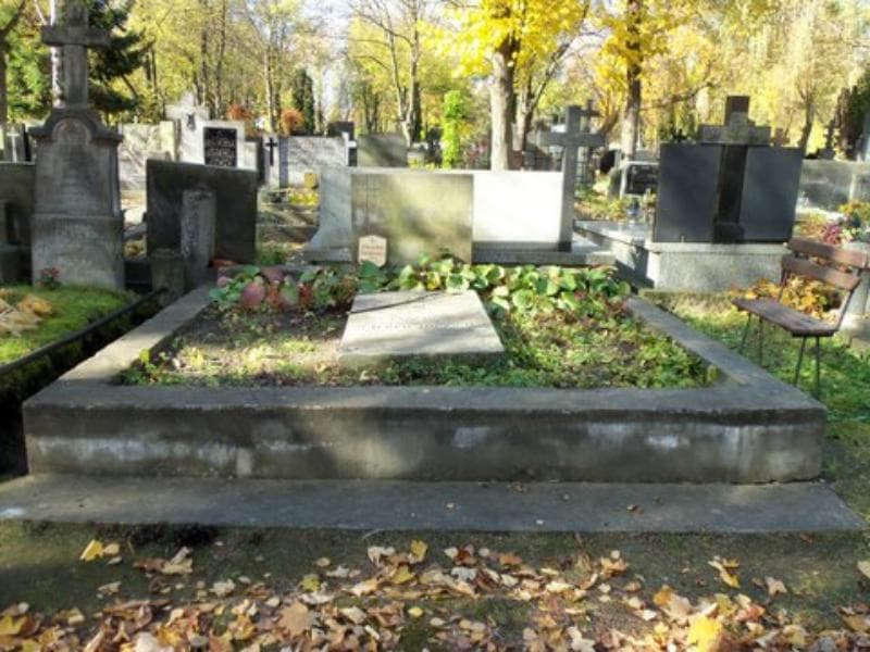 Zdjęcie grobu: Mieczysław Sienkiewicz