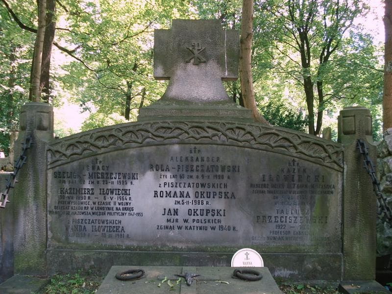 Zdjęcie grobu Romana Okupska (2)