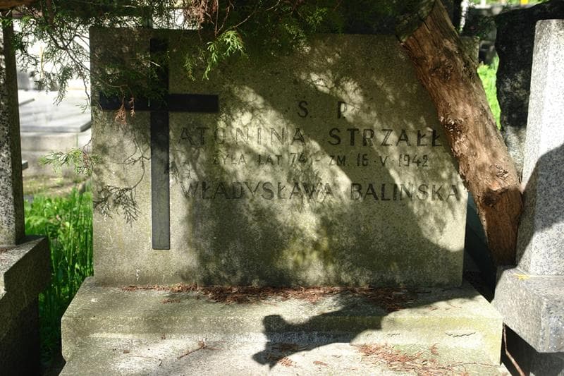Zdjęcie grobu Antonina Strzałło (2)