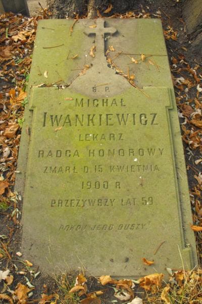 Zdjęcie grobu Michał ... (2)