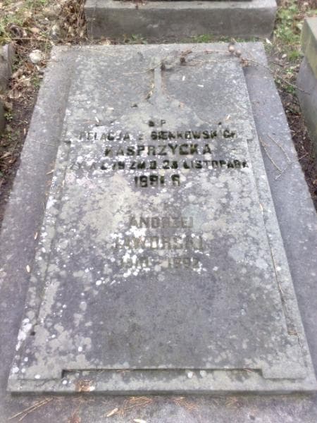 Zdjęcie grobu Andrzej Jaworski (1)