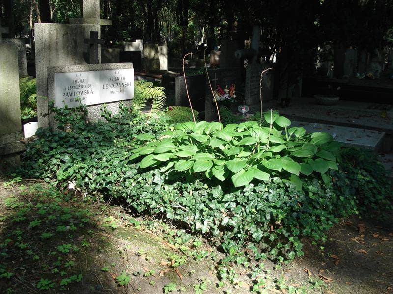 Zdjęcie grobu: Irena Pawłowska