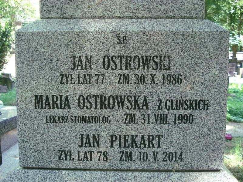 Zdjęcie grobu Jan Piekart (2)