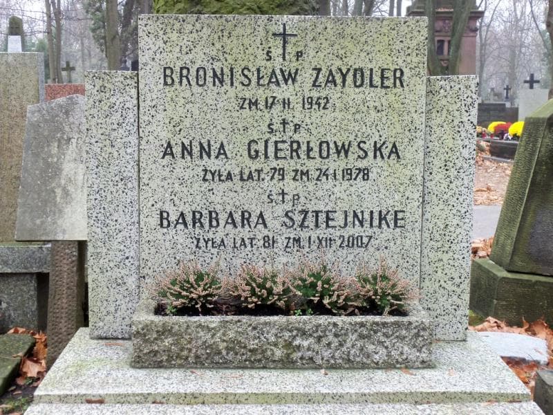 Zdjęcie grobu Stefuchna Zaydlerówna (2)