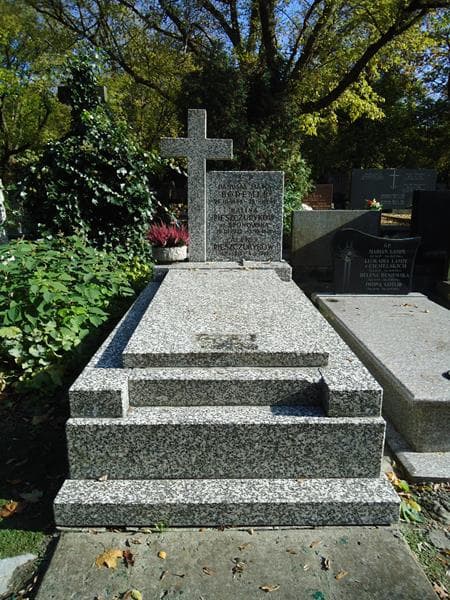 Zdjęcie grobu: Aleksy Pieszczurykow