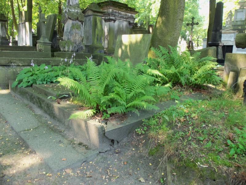 Zdjęcie grobu Józefa Harasiewicz (1)