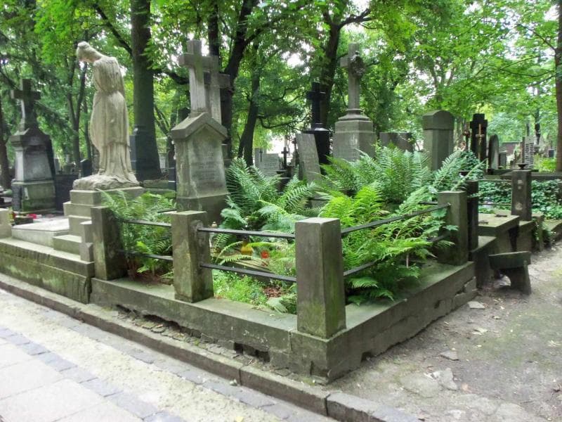 Zdjęcie grobu Józef Strusiński (1)