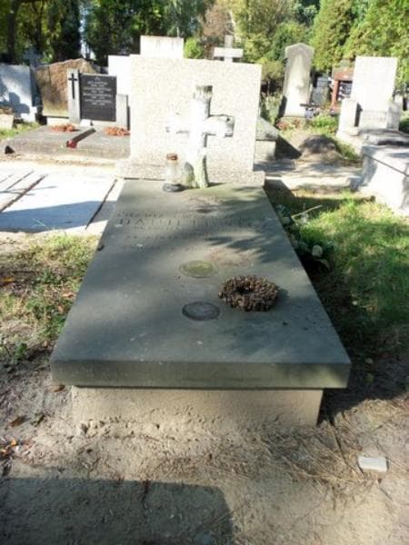 Zdjęcie grobu: Władysław Danielewicz