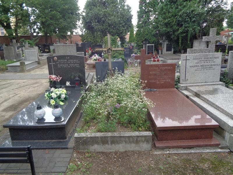 Zdjęcie grobu Karolina Tańska (1)