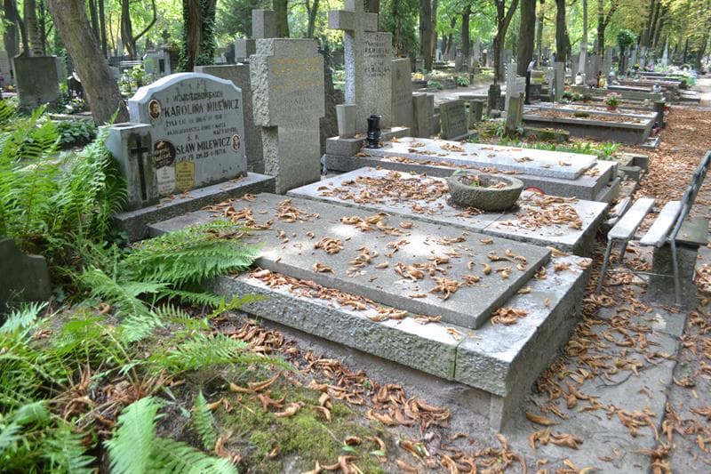 Zdjęcie grobu: Bronisław Milewicz