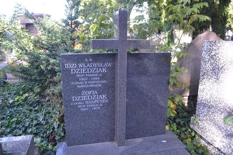 Zdjęcie grobu Zofia Dziedziak (2)