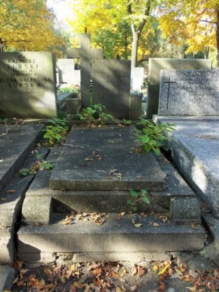 Zdjęcie grobu: Zygmunt Antoni Jankielewicz