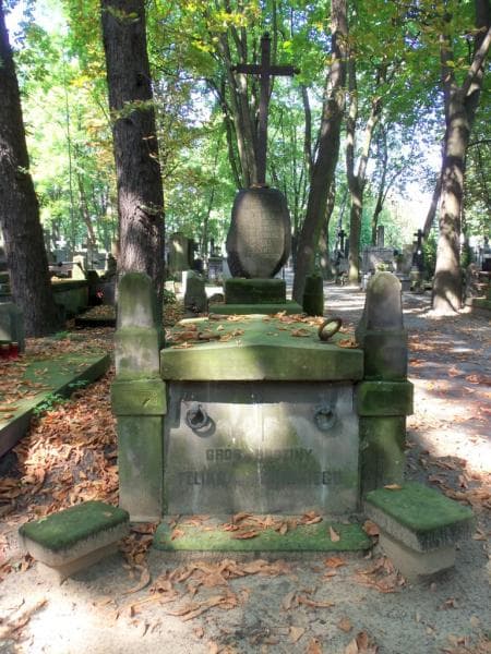 Zdjęcie grobu Franciszka Hańska (1)