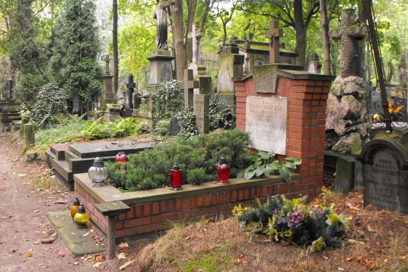 Zdjęcie grobu Danuta Walczak (1)