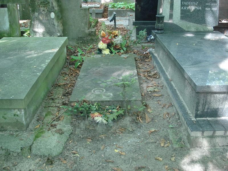 Zdjęcie grobu: Alfons Bechczyc Rudnicki