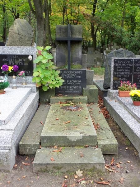 Zdjęcie grobu: Tadeusz Bukowiński