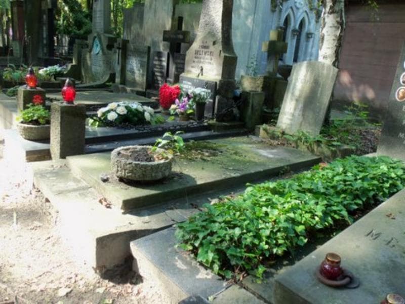 Zdjęcie grobu Krystyna Schmidt (1)