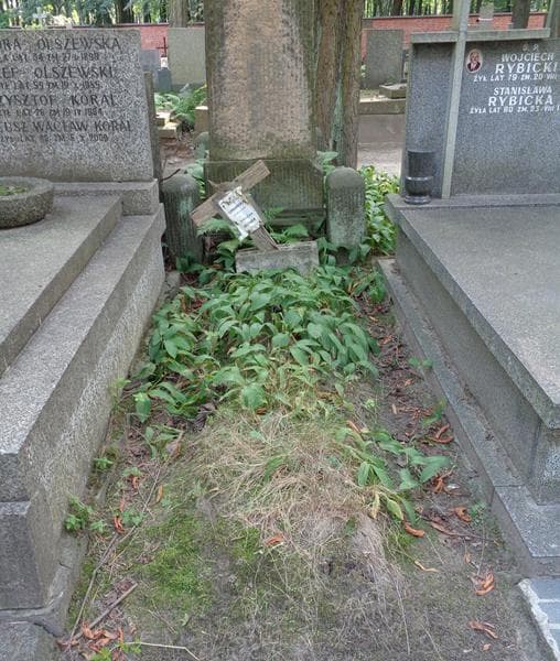 Zdjęcie grobu Bolesław Bytner (1)