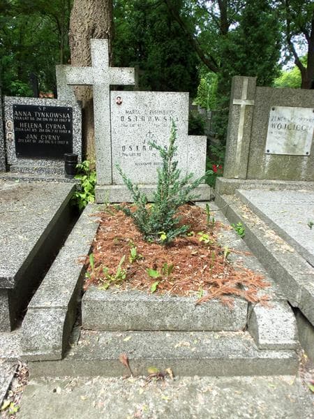 Zdjęcie grobu: Jan Ostrowski