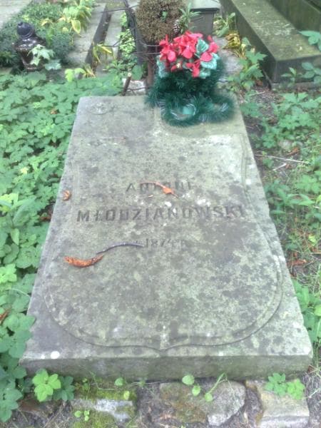 Zdjęcie grobu Antoni Młodzianowski (1)