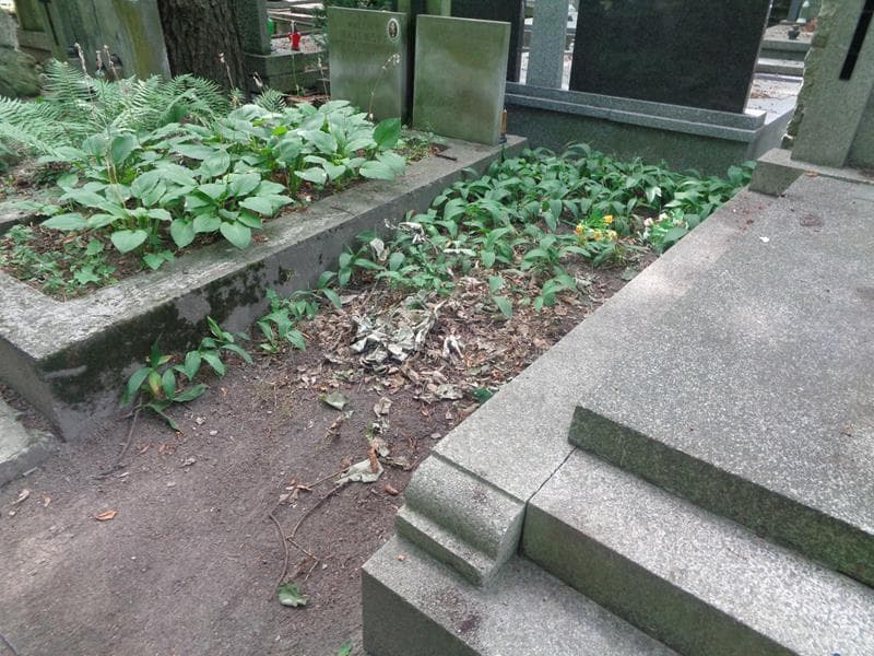 Zdjęcie grobu: Pole Grobowe