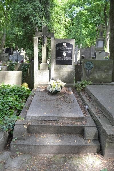 Zdjęcie grobu Irena Telmany (1)
