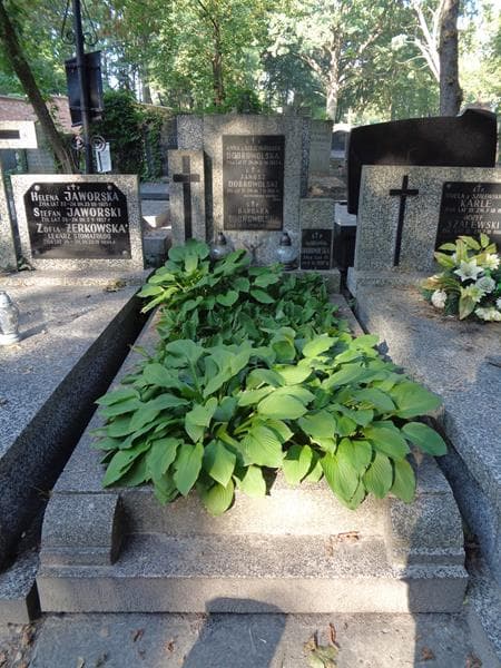 Zdjęcie grobu Marianna Dobrowolska (1)