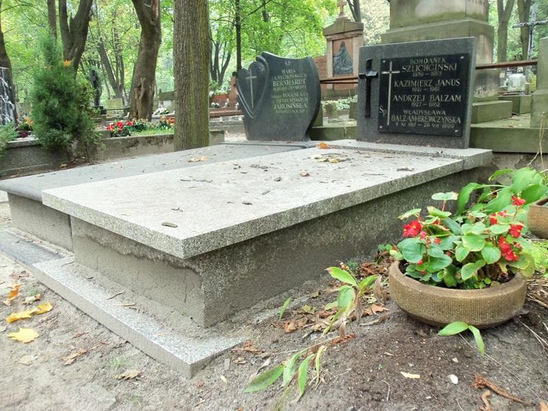 Zdjęcie grobu Kazimierz Janus (1)