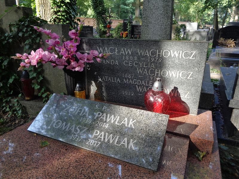 Zdjęcie grobu Zofia Pawlak (2)