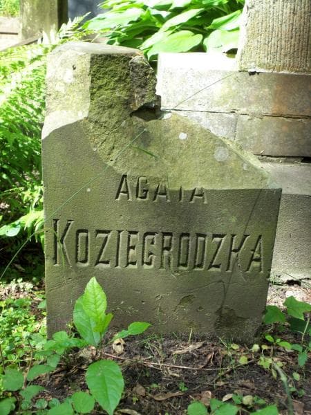 Zdjęcie grobu Agata Koziegrodzka (2)