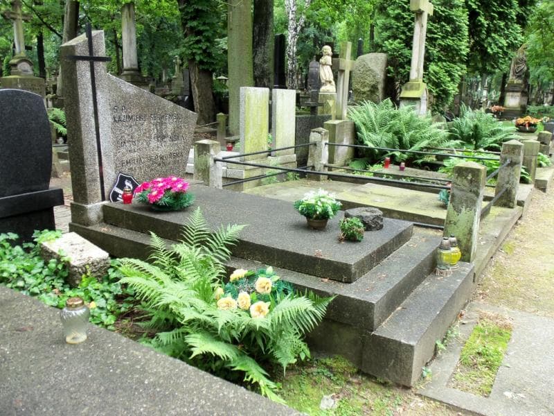 Zdjęcie grobu Emilia Serwońska (1)