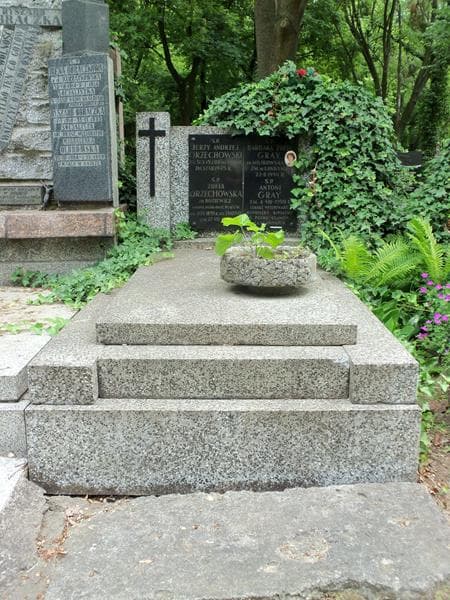 Zdjęcie grobu: Jerzy Andrzej Orzechowski