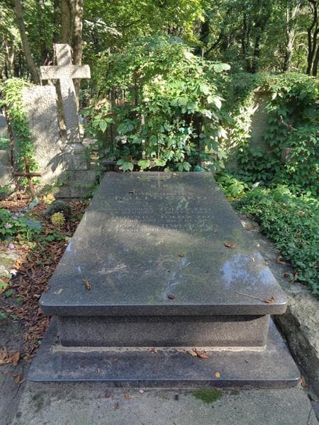 Zdjęcie grobu Witold Tołłoczko (1)