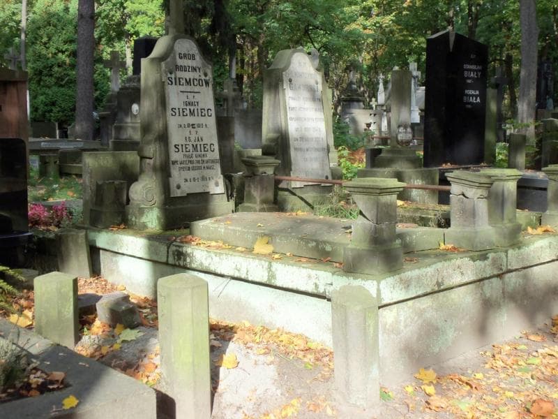 Zdjęcie grobu Ignacy Siemiec (1)