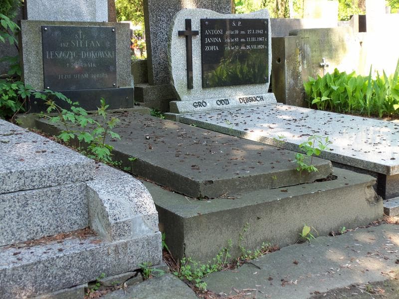 Zdjęcie grobu Stefan Leszczyc - Dokowski (1)
