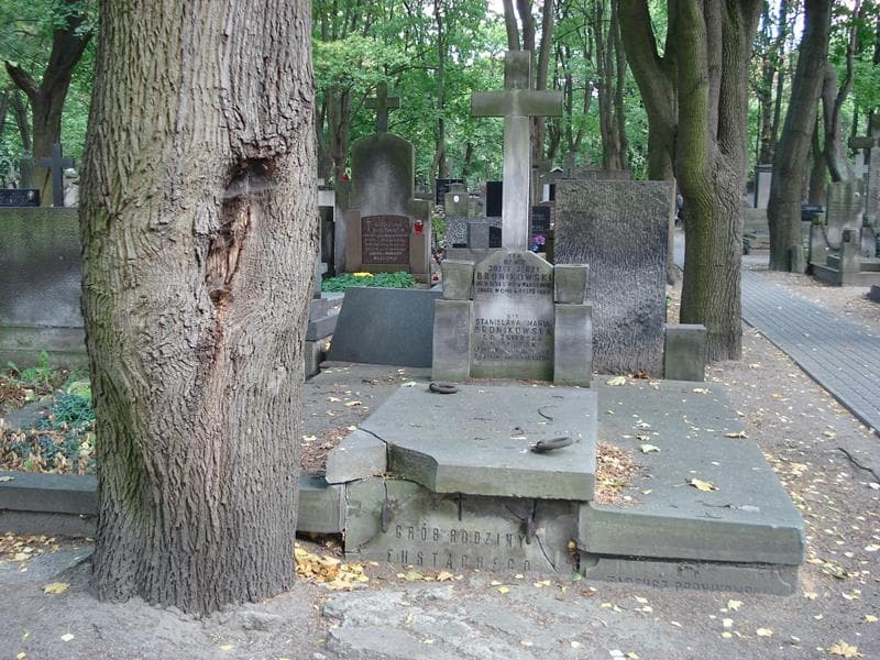 Zdjęcie grobu Tadeusz Bronikowski (1)