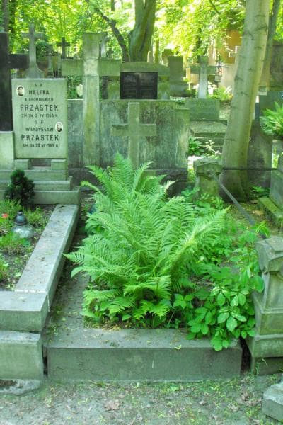 Zdjęcie grobu: Władysław Piekarski