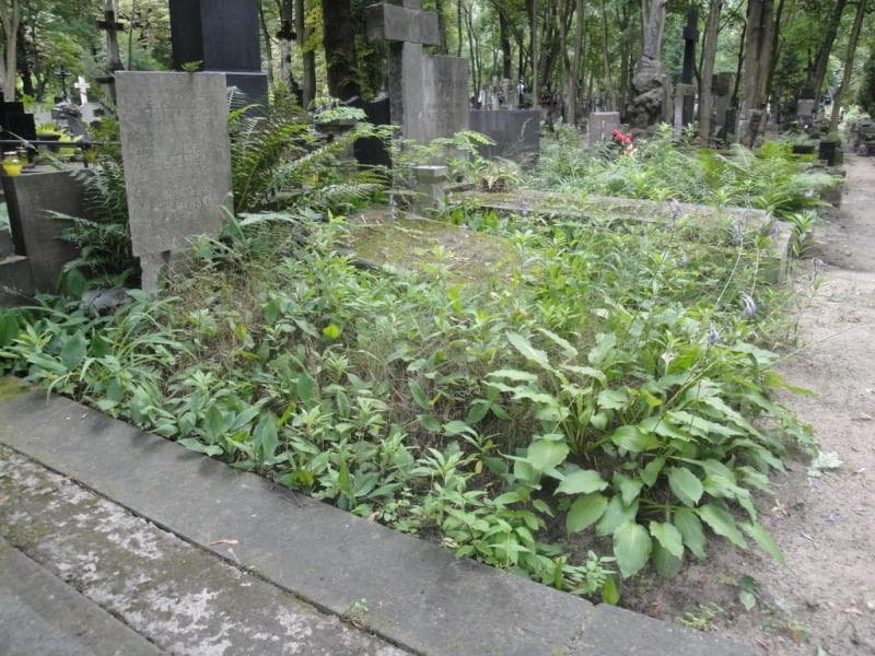 Zdjęcie grobu Stefanja Kulczyńska (1)