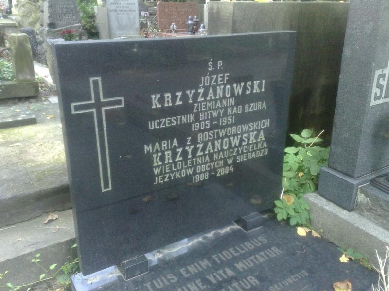 Zdjęcie grobu Józef Krzyżanowski (2)