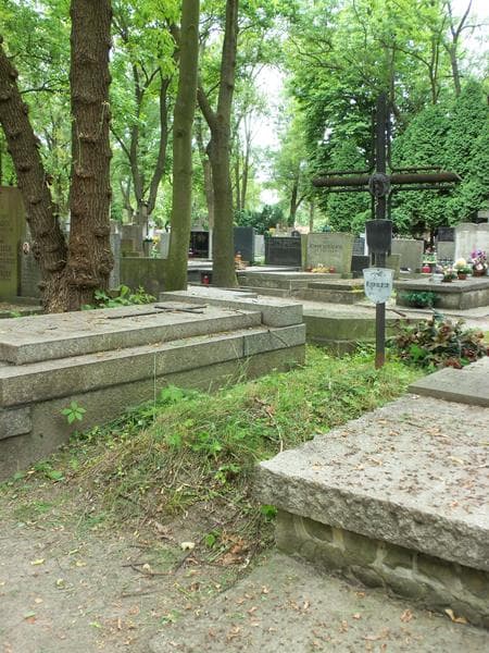 Zdjęcie grobu Andrzejek Niewiarowski (1)
